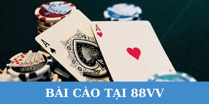bài cào