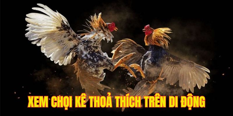 Người chơi thoải mái chiêm ngưỡng trận đấu ngay trên di động
