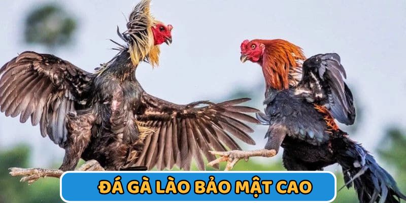 Thông tin, giao dịch được bí mật
